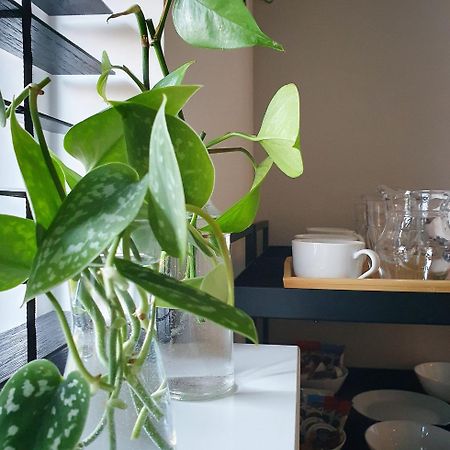 Bed And Breakfast 'Wij En De Zande' Kamperveen 外观 照片