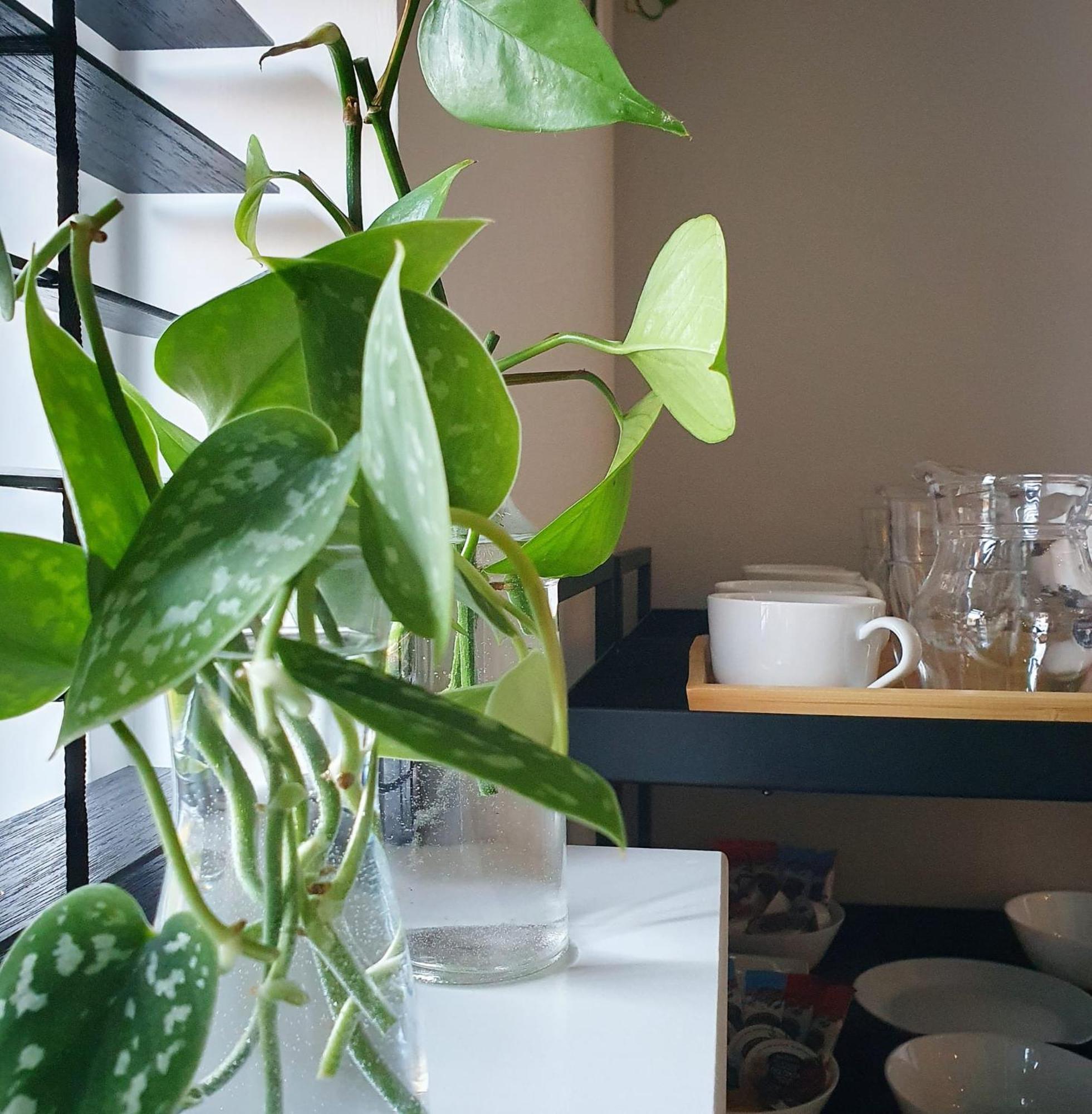 Bed And Breakfast 'Wij En De Zande' Kamperveen 外观 照片